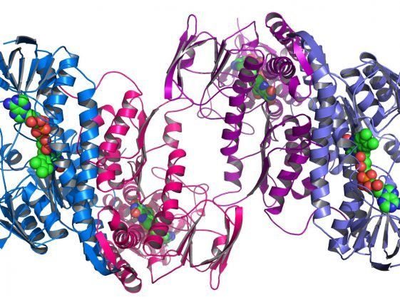 intelligenza artificiale google proteina biologia
