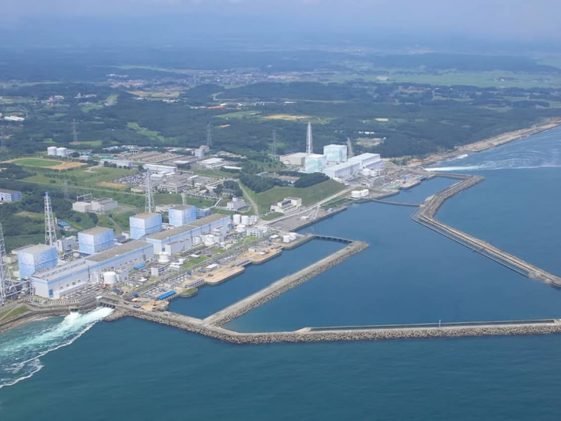 fukushima-mare-inquinamento