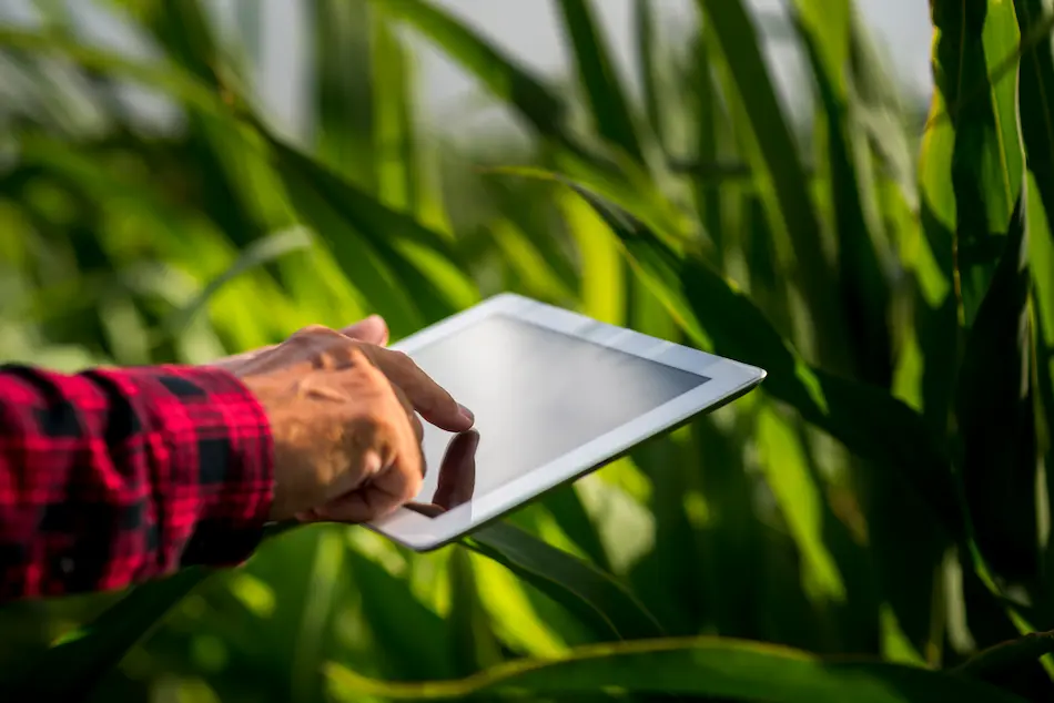 Agricoltura 4.0 con tablet
