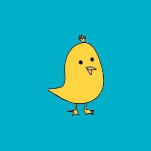 Koo