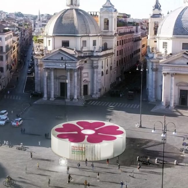 primule boeri roma