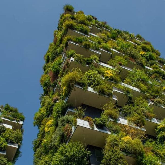 bosco verticale milano