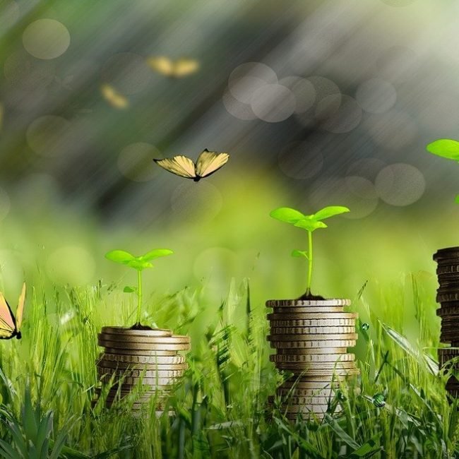 Finanza sostenibile