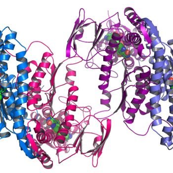 intelligenza artificiale google proteina biologia