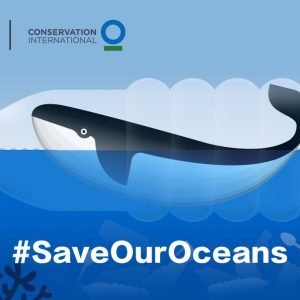 Tik Tok #saveouroceans