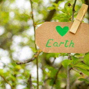 zero waste, save planet