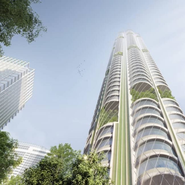 urban sequoia